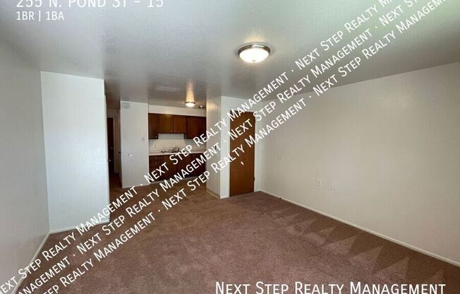 255 N POND