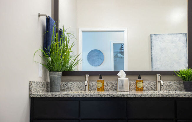 a bathroom sink with a mirror and a potted plant