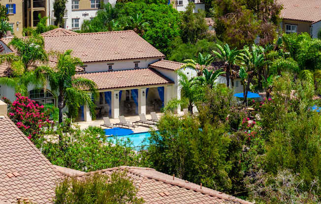 A house with a pool surrounded by greenery.