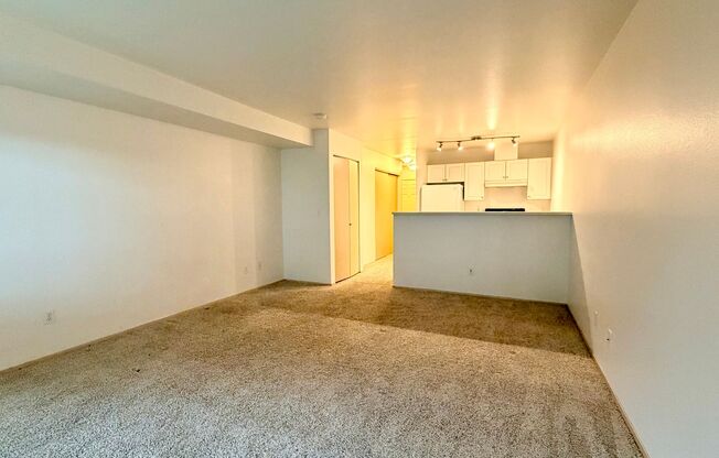 Studio, 1 bath, 483 sqft, $1,450, Unit 308