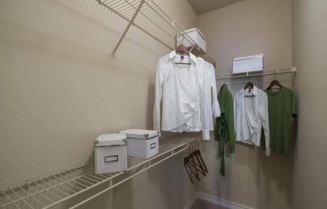 Walk-In Closets And Dressing Areas at Wyndchase at Aspen Grove, Franklin, TN