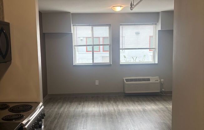 Studio, 1 bath, 284 sqft, $970, Unit 317