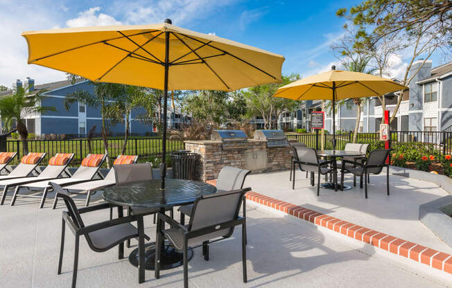 Sundeck at Northgreen at Carrollwood Apartments in Tampa, FL