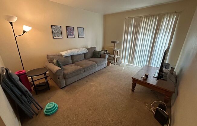 1 bed, 1 bath, $850, Unit 113