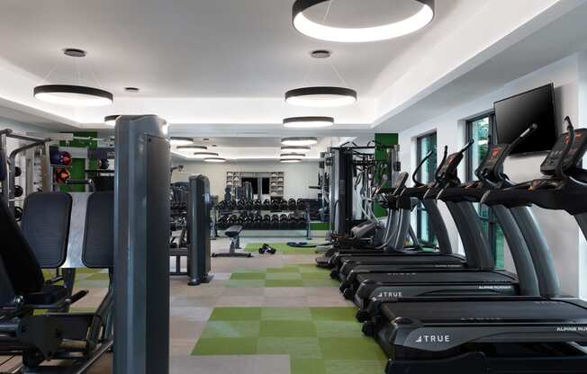 a room filled with lots of cardio equipment and weights