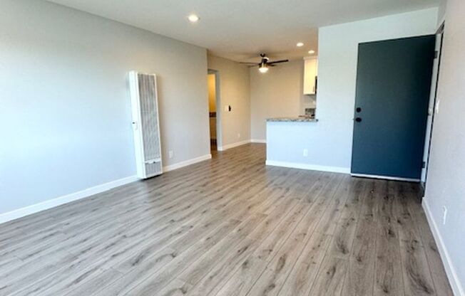 GORGEOUS Newly renovated 1 bedroom 1 bath unit