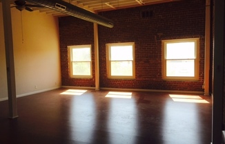Daisy Studios