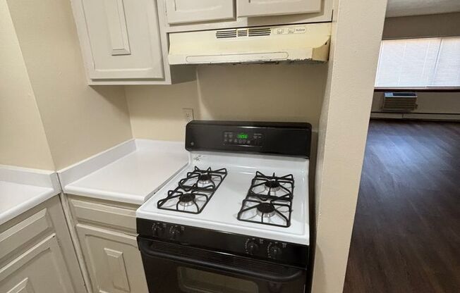 1 bed, 1 bath, 700 sqft, $899, Unit Custer-107