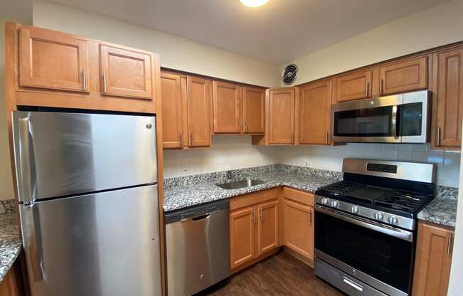 Stainless-Steel Appliances