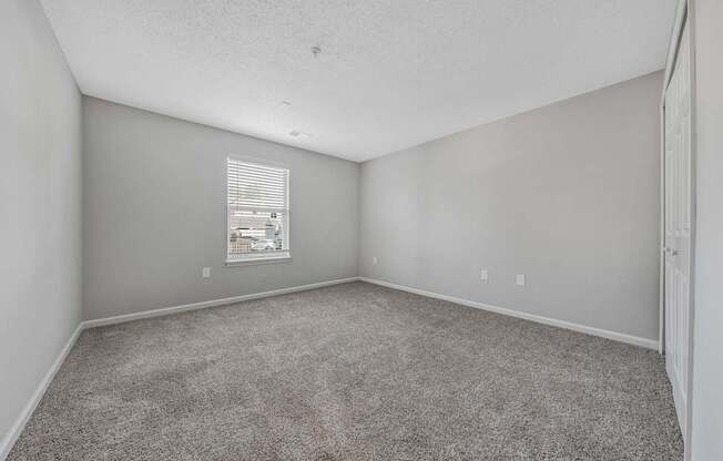 A room with grey carpet and a window with blinds.