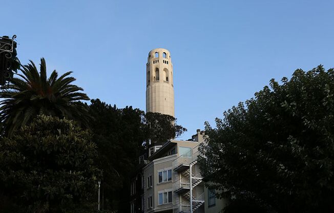 OPEN HOUSE: Sunday (7/20) 3:00pm-3:30pm. First floor 1BR/1BA on Telegraph Hill, Lots of Natural Light! Fantastic San Francisco Location! (444 Greenwich Street #1)