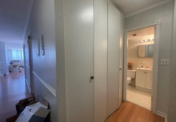 Studio, 1 bath, 536 sqft, $2,800, Unit 4B