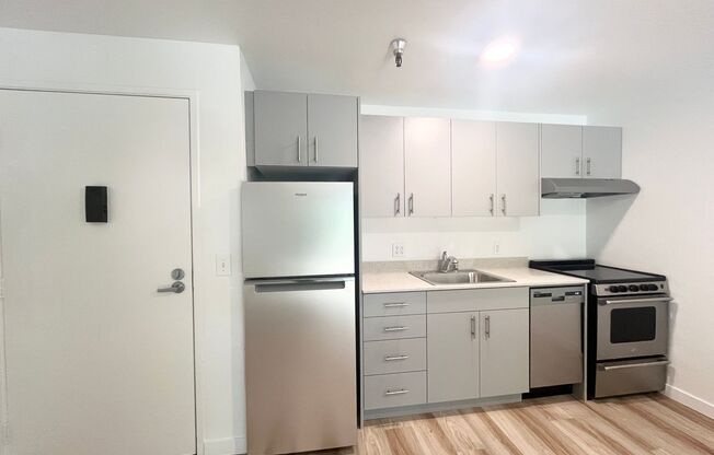 1 bed, 1 bath, 480 sqft, $1,485, Unit 209