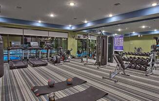 a fitness center with a lot of weights on the floor at Hunters Creek Apartments, Denton, TX
