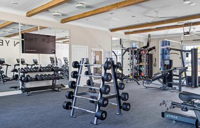 A gym with a variety of equipment including dumbbells, weight machines, and a bench press.