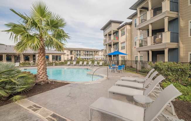 A pool area with lounge chairs and a palm tree.