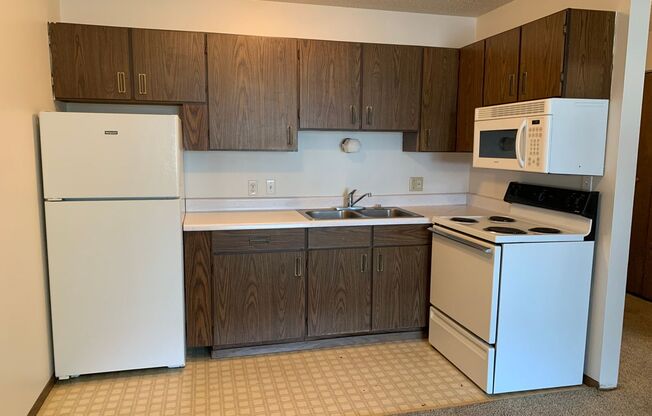 1 bed, 1 bath, 465 sqft, $595, Unit 1929-19