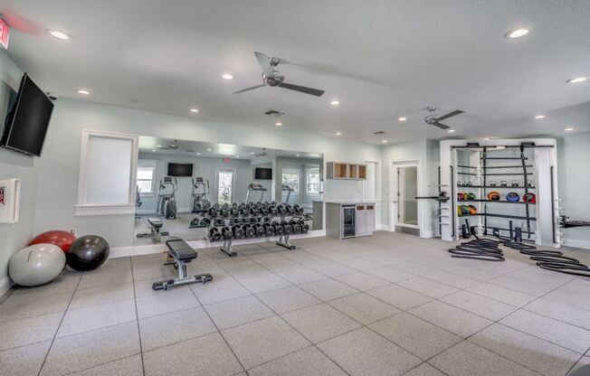 Fitness Center with Free weights, med balls and ropes