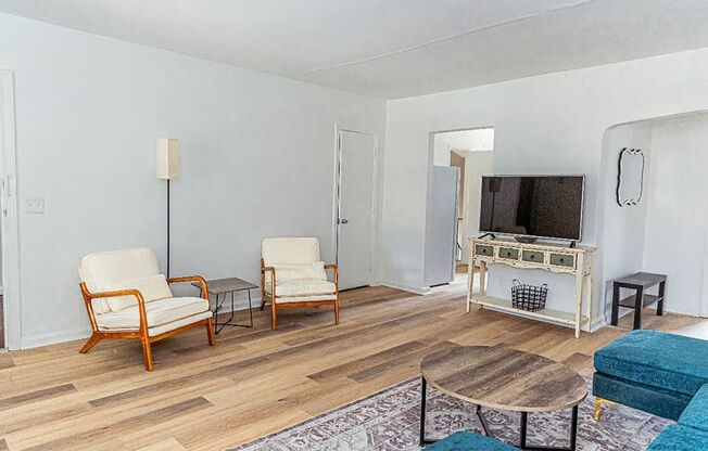 The Ascent Collection - The Local