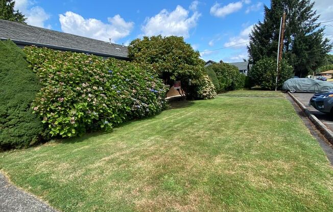 Cozy 1 Bed 1 Bath Downtown Renton !