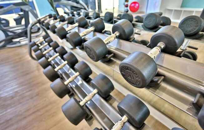 A set of dumbbells are lined up on a rack.