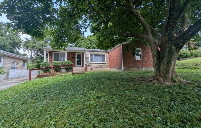 3503 Huon Dr.