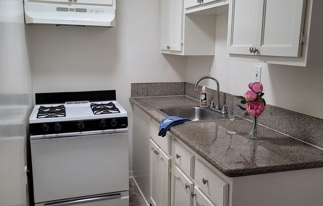 Studio, 1 bath, 200 sqft, $1,355, Unit JR. UNIT