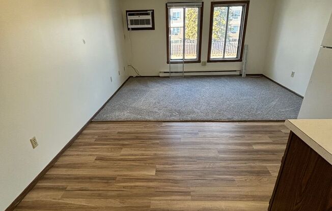 Studio, 1 bath, 360 sqft, $550, Unit 20