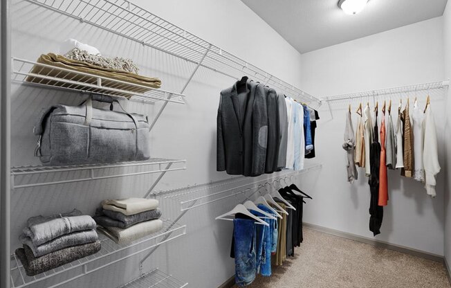 our apartments have a spacious walk in closet with plenty of closet space