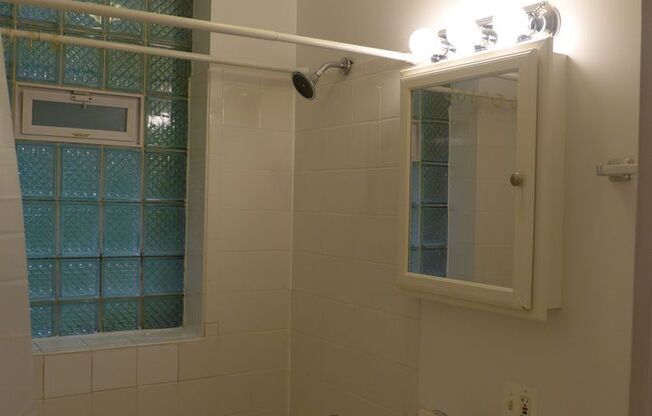 Studio, 1 bath, 300 sqft, $1,395, Unit 108