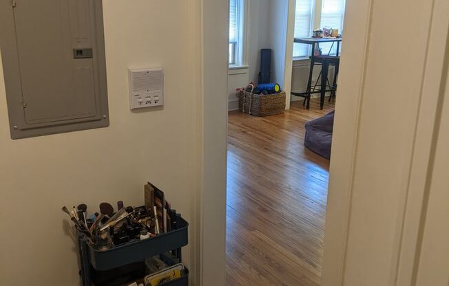 Spacious and Renovated Studio in Loyola!