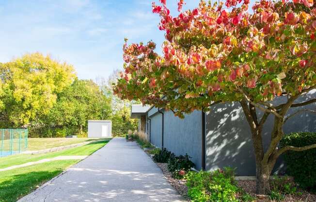 a house with a tree in front of it