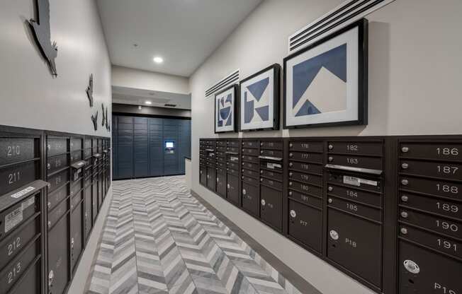 mailroom with package lockers at Ladera