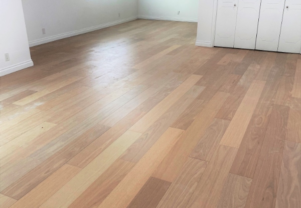 1343 19 ST