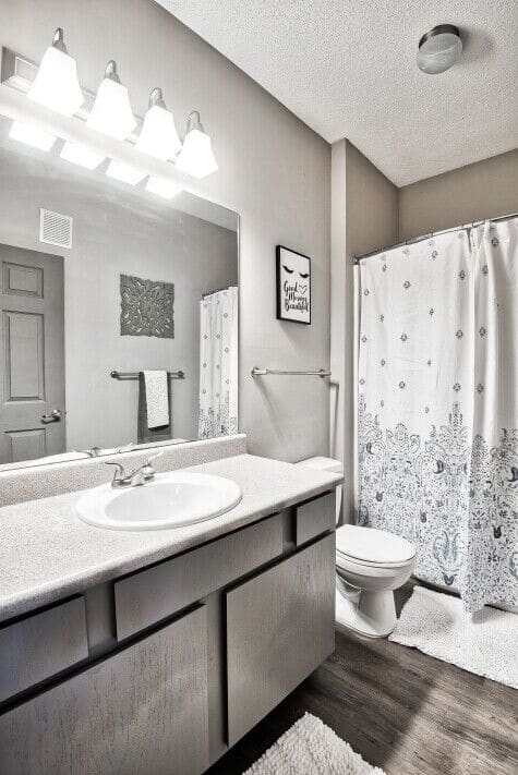 A bathroom with a toilet, sink, and shower curtain.