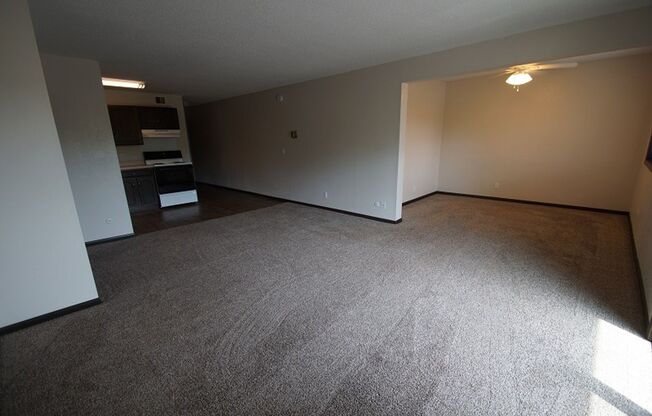 Studio, 1 bath, 710 sqft, $1,194, Unit 307
