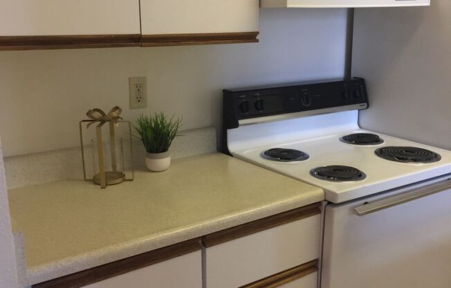 Studio, 1 bath, 462 sqft, $1,295, Unit 305