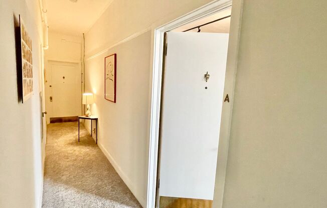 Spacious and Bright Lower Nob Hill Studio/1BA! Laundry! Shared yard!  PROGRESSIVE