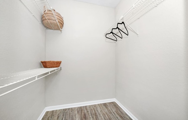 Walk-in Closet with Shelving
