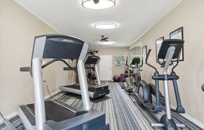 a fitness gym with cardio equipment