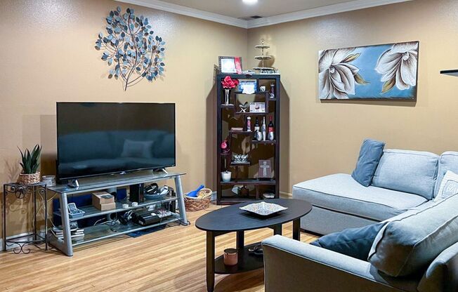 5 Bed 3 Bath House With Amazing Salt Water Pool!
