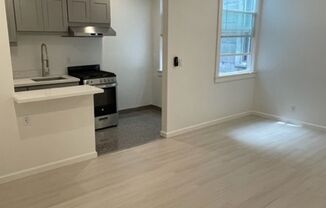 Studio, 1 bath, 328 sqft, $2,325, Unit 03RD-574#232