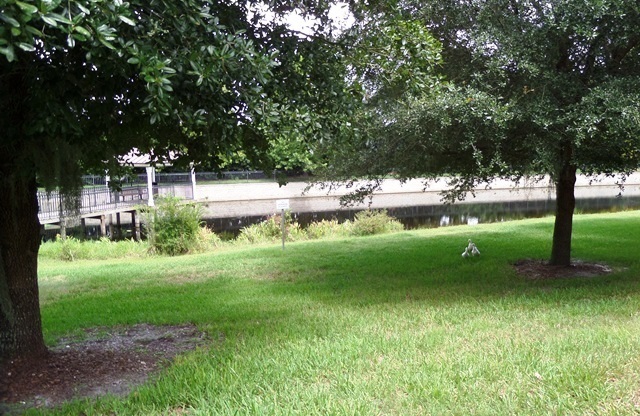3 beds, 2.5 baths, $2,150