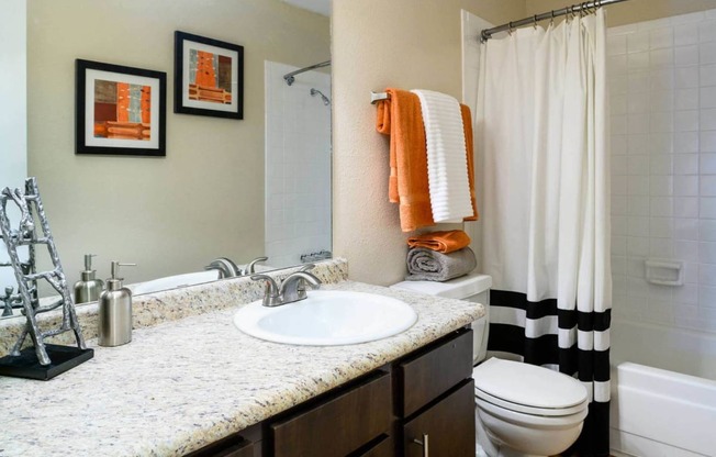 Bathroom Accessories at Park at Voss Apartments, The Barvin Group, Houston