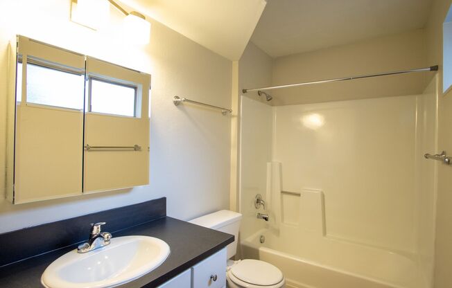 1 bed, 1 bath, $1,695, Unit 4701-B