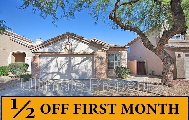 13602 W Desert Flower Dr