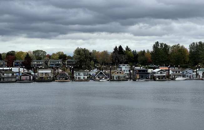 Lake Photo at Maddox Apartments