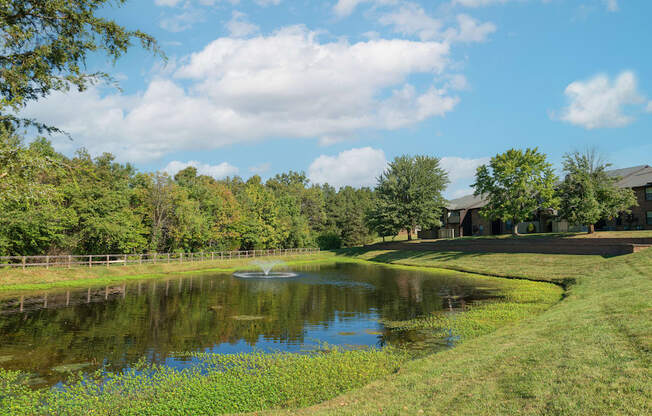 a pond with a fountain in the middle of a grassy field