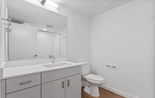 a bathroom with a sink and a toilet and a mirror