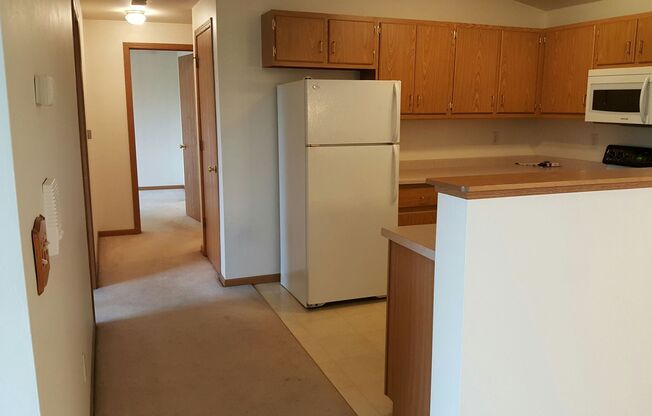 2 beds, 2 baths, 1,000 sqft, $1,200